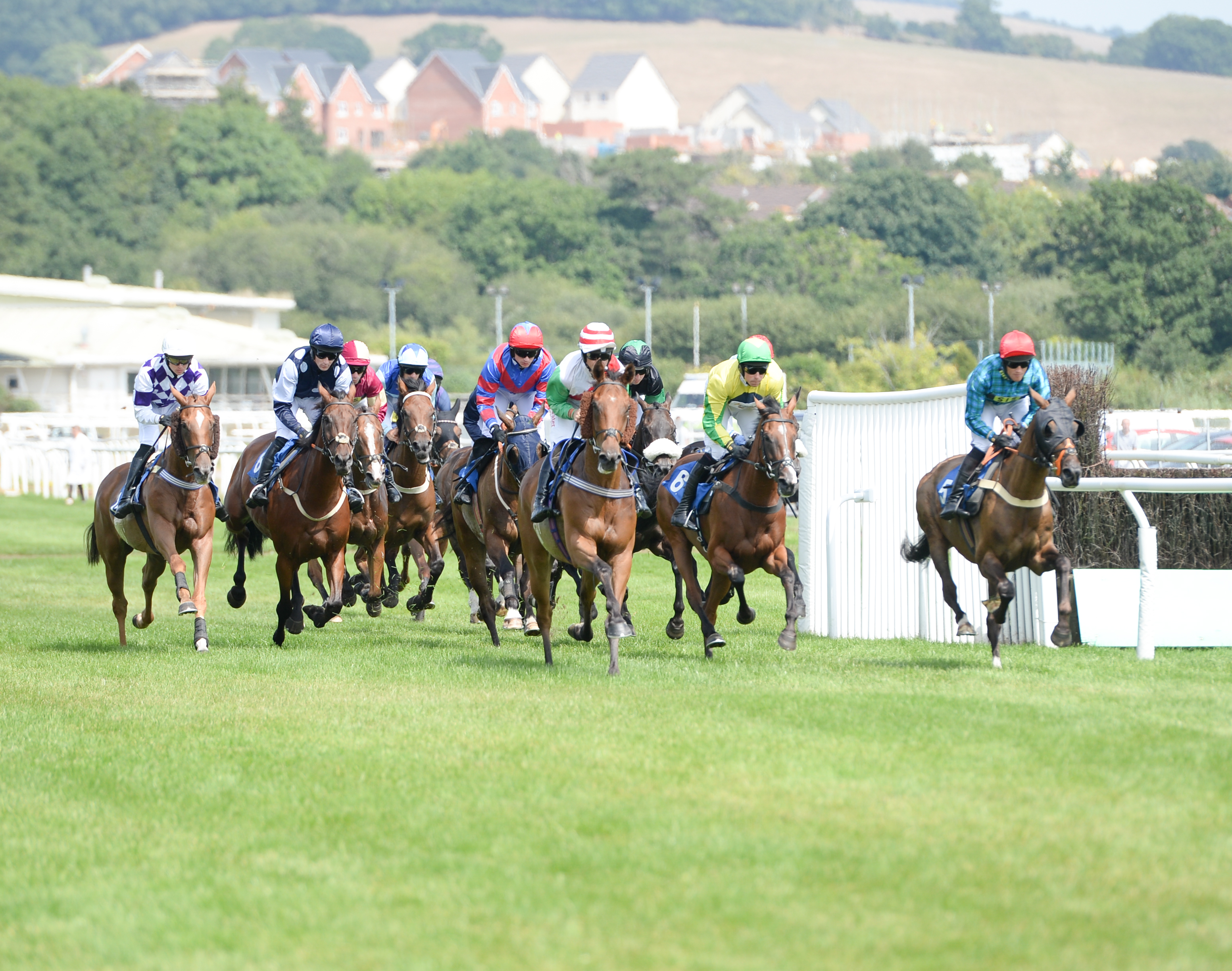 horseracing in Devon