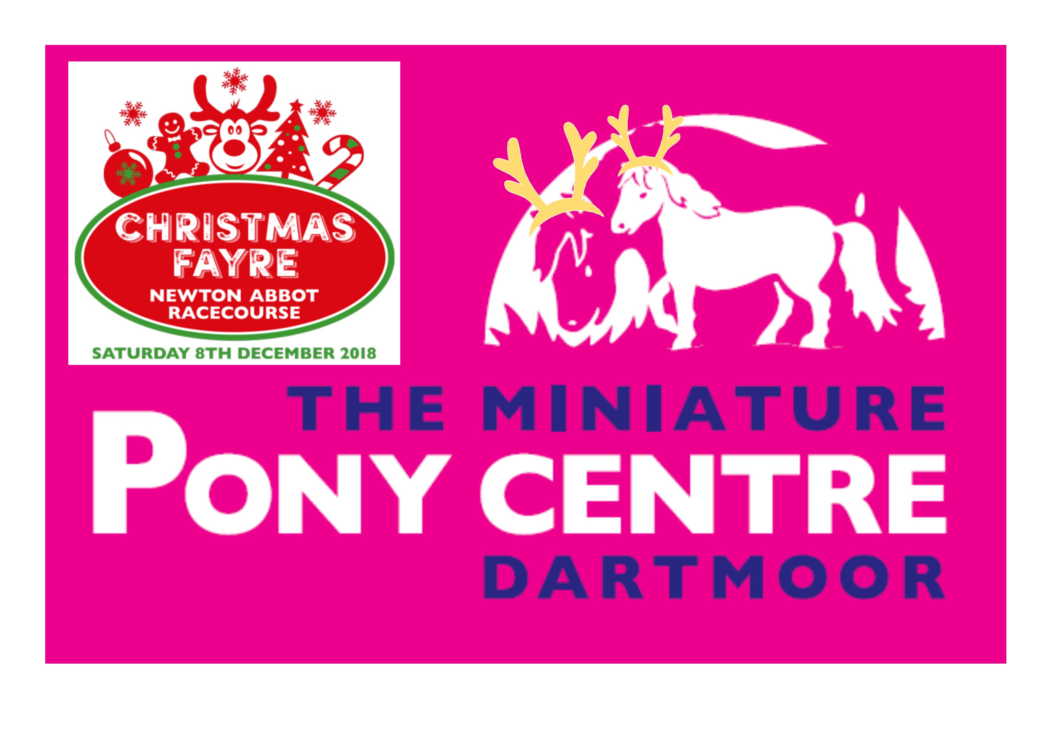 Reinpony Rides at Newton Abbot Racecourse